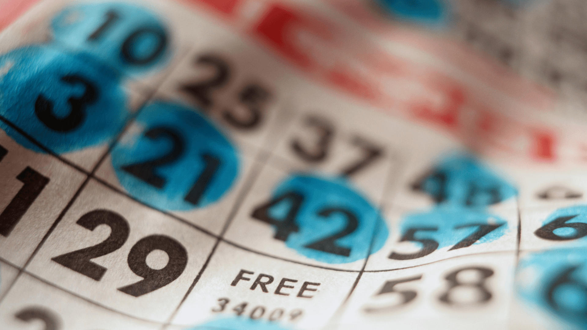 온라인 빙고 카드 및 통화에 관한 모든 것 image