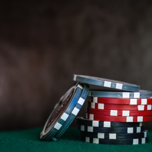 당신의 마음을 사로잡을 도박에 대한 주요 사실